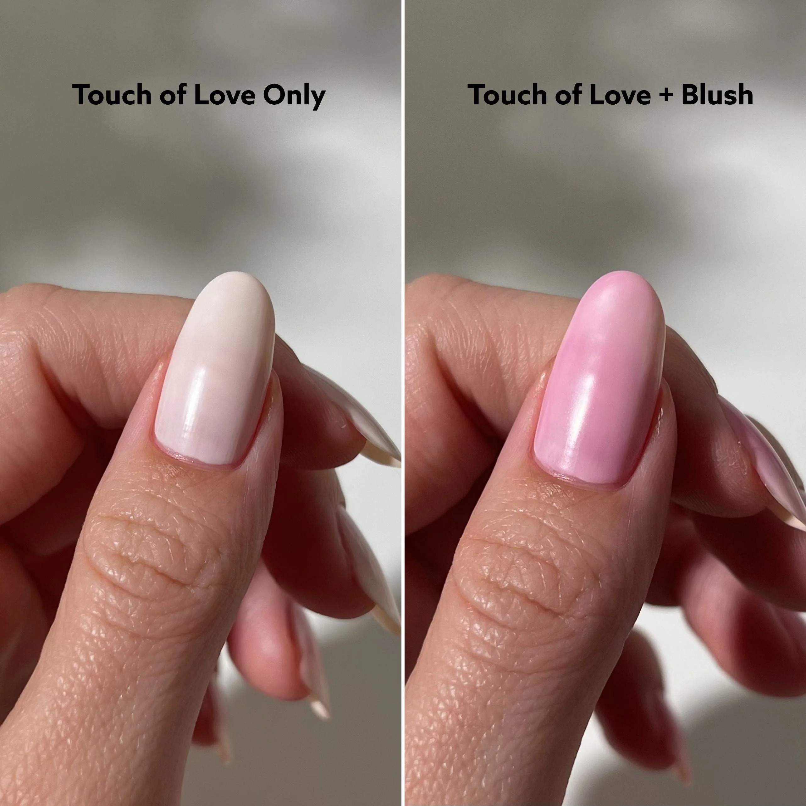 Blush - Image 6