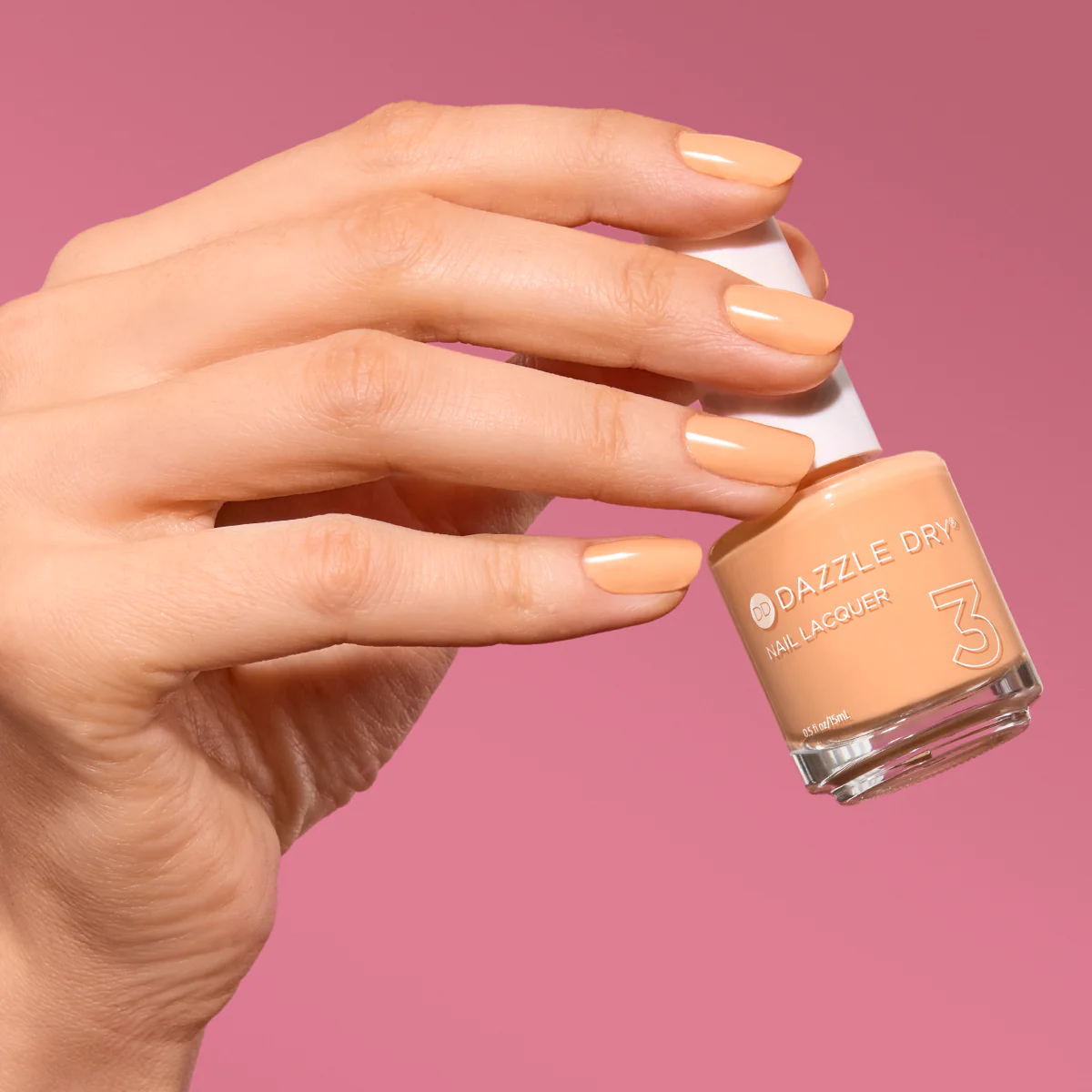 Creamsicle Sorbet - Image 3