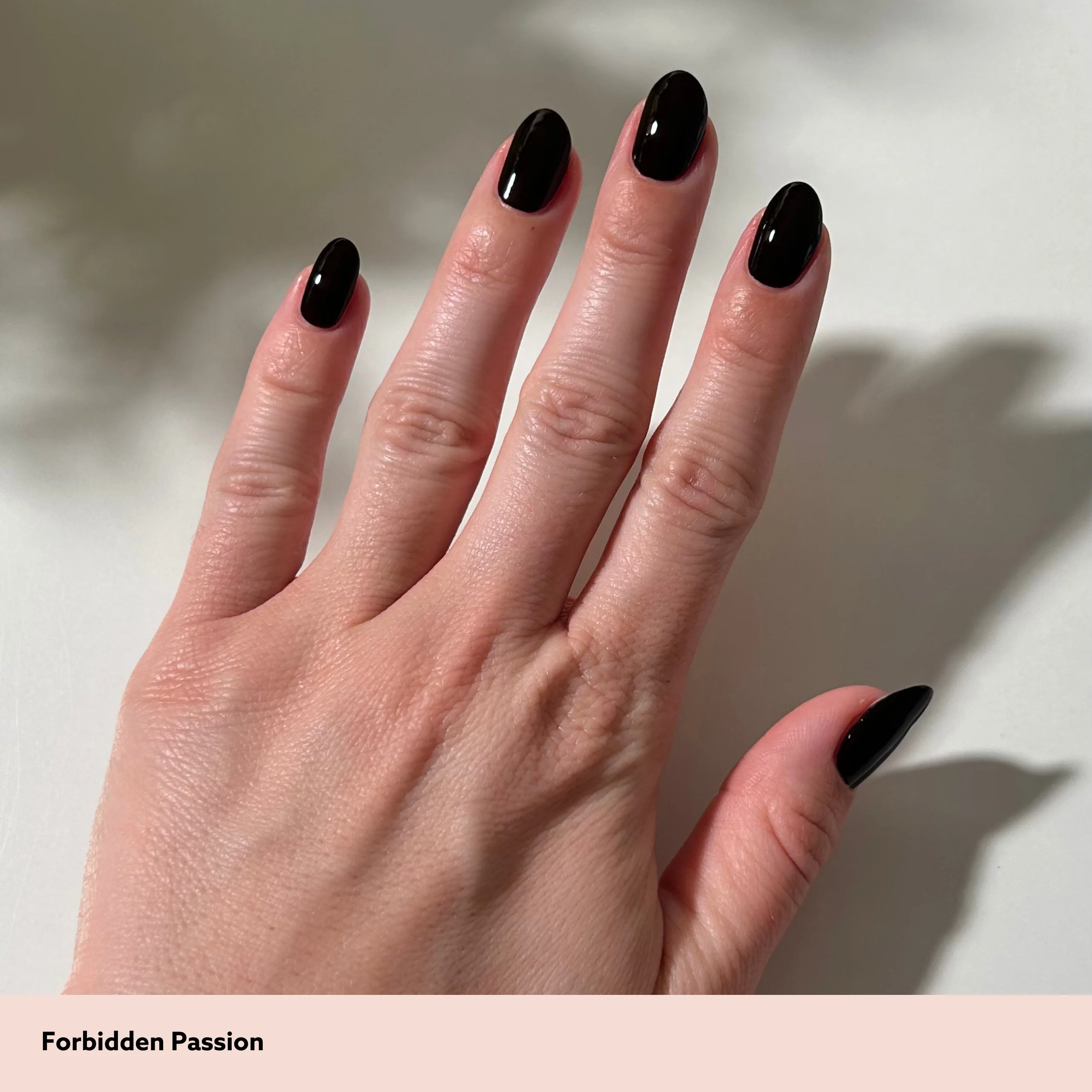 Forbidden Passion - Image 3