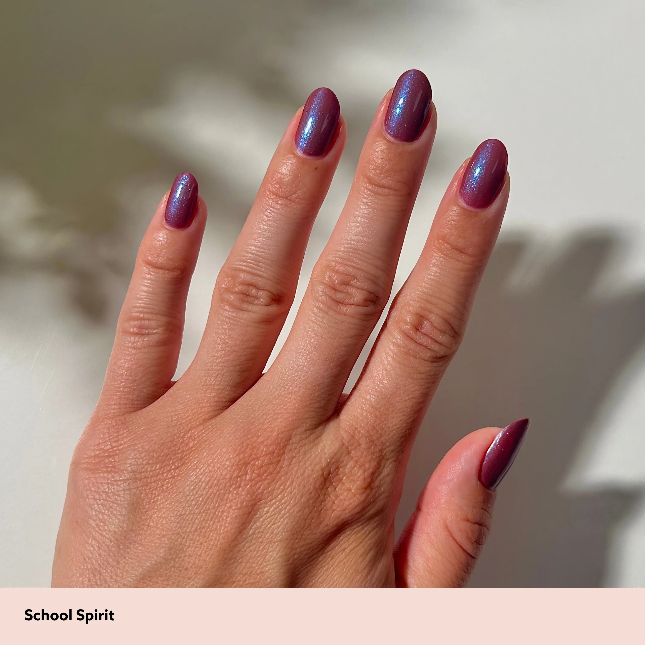 School Spirit - Image 5
