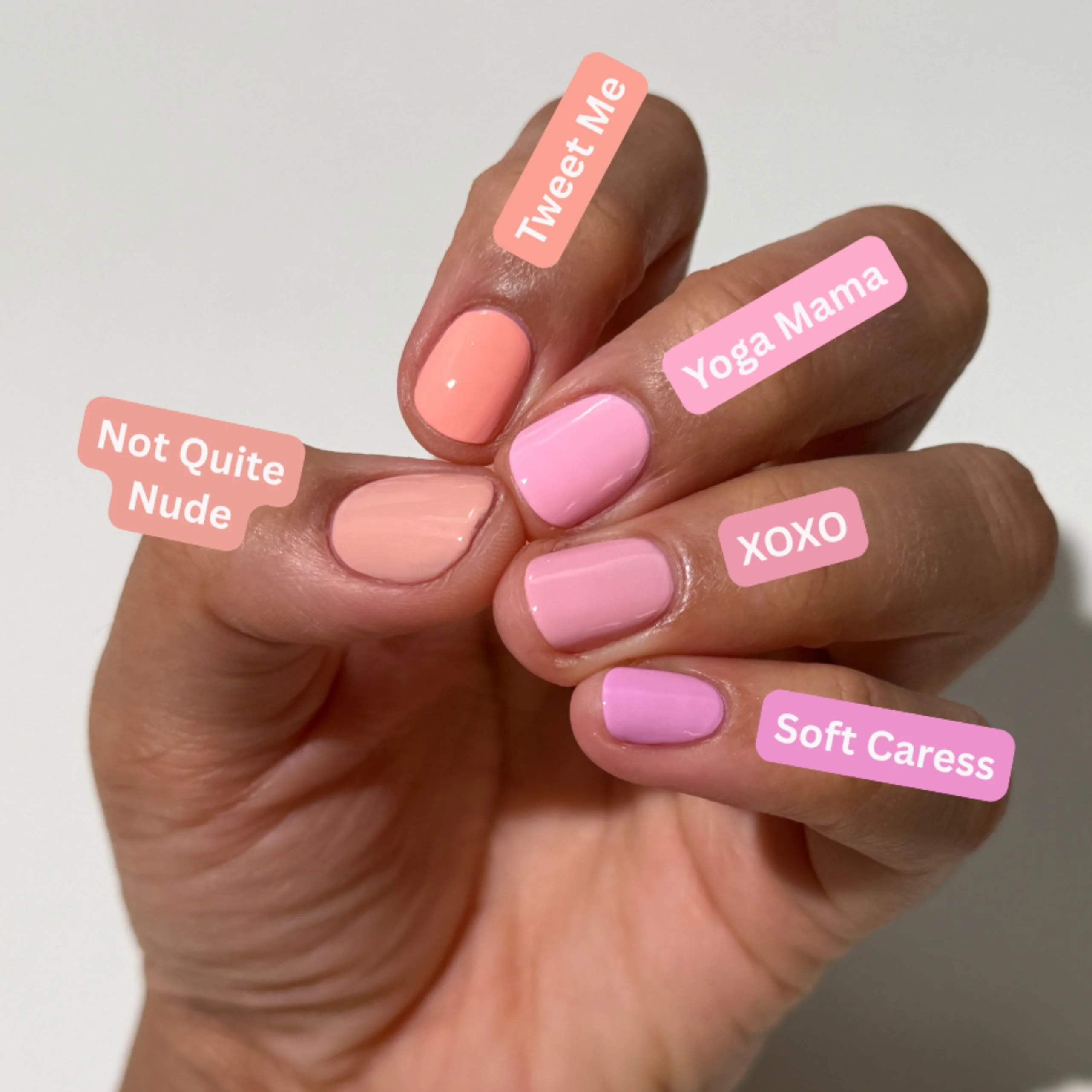 XOXO - Image 5